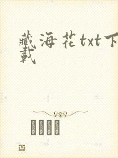 藏海花txt下载