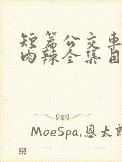 短篇公交车高h肉辣全集目录