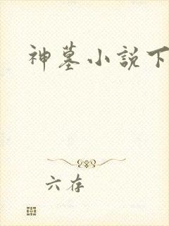 神墓小说下载