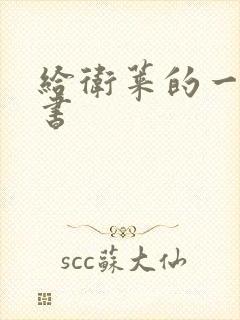 给卫莱的一封情书