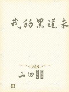 我的黑道未婚夫