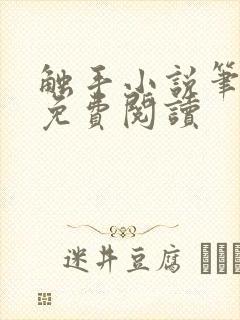 触手小说笔趣阁免费阅读