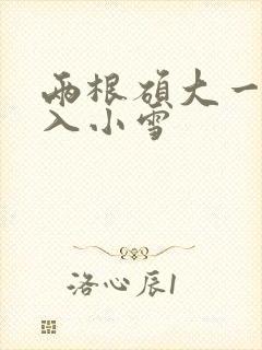 两根硕大一起挤入小雪