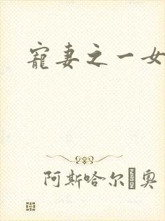 宠妻之一女二夫