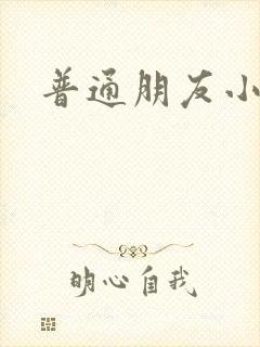 普通朋友小说