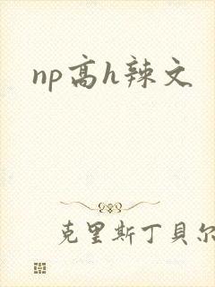 np高h辣文