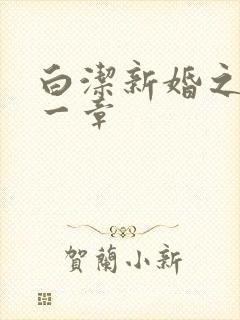 白洁新婚之夜第一章