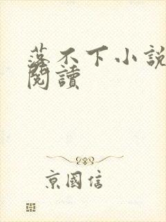 落不下小说免费阅读