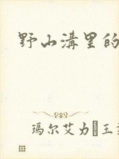 野山沟里的村庄