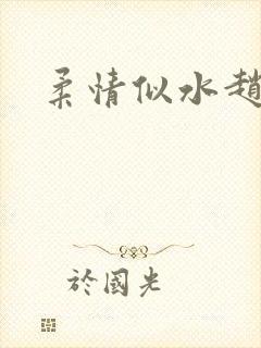 柔情似水赵雅儿