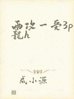 两攻一受3p双龙h