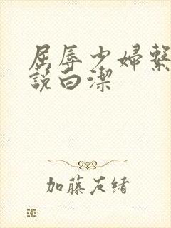 屈辱少妇系列小说白洁