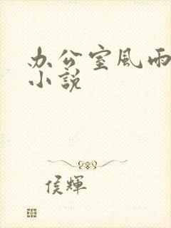 办公室风雨完整小说
