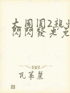 大团圆2亲情会闪闪发光免费