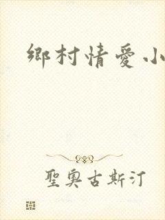 乡村情爱小说