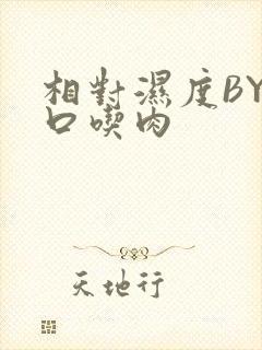 相对湿度BY大口吃肉