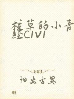 校草的小青梅不经C1V1