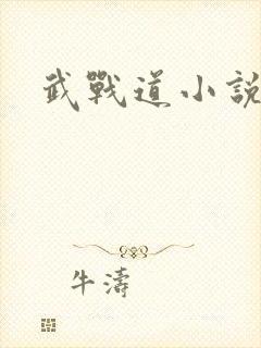 武战道小说