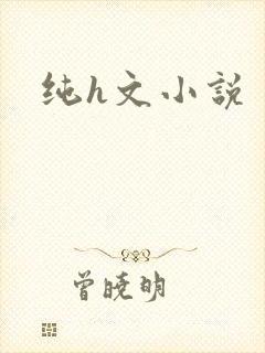 纯h文小说