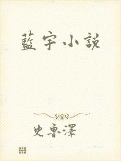 蓝宇小说