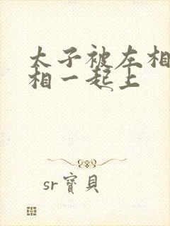 太子被左相和右相一起上