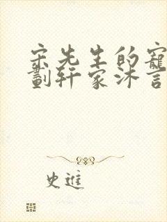 宋先生的宠妻计划轩家沐言