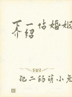 下一站婚姻剧情介绍