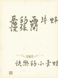 岳的两片蚌肉慢慢张开