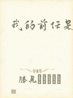 我的前任是极品