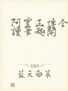 阿宾正传全文阅读笔趣阁