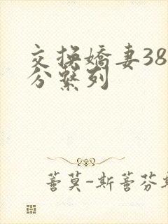 交换娇妻38部分系列