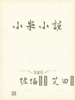 小米小说