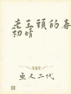 老王头的春天林初晴