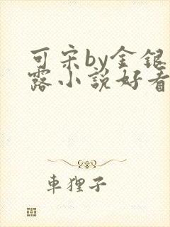 可宋by金银花露小说好看吗