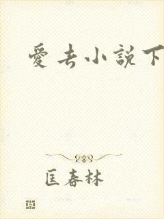 爱去小说下载网