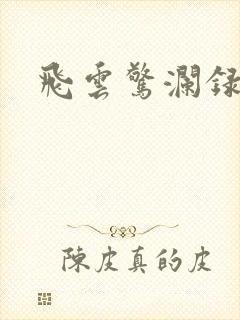 飞云惊澜录