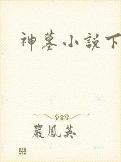 神墓小说下载