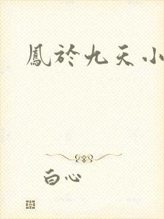 凤于九天小说
