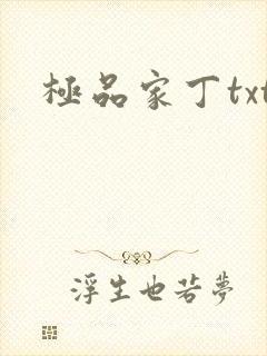 极品家丁txt