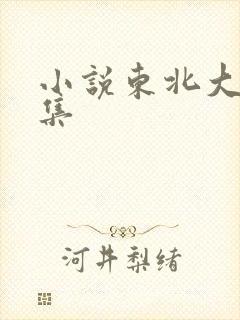 小说东北大炕全集