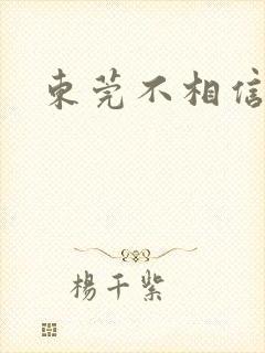 东莞不相信眼泪