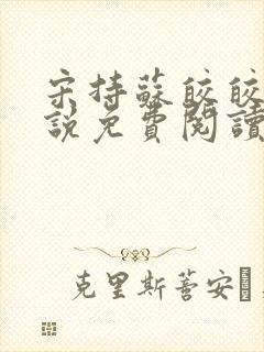 宋持苏皎皎的小说免费阅读