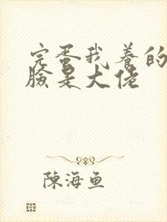 完蛋我养的小白脸是大佬