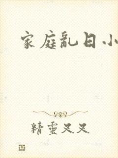家庭乱日小说
