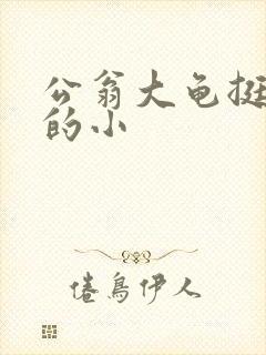 公翁大龟挺进我的小