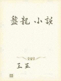 盘龙 小说