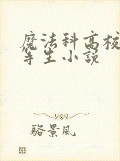 魔法科高校的劣等生小说