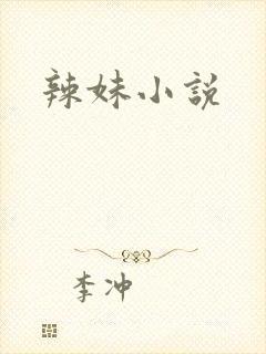 辣妹小说