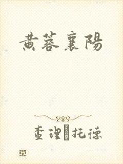 黄蓉襄阳