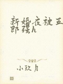 新婚夜被五个伴郎强h